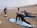 Learn to surf in Morocco *Dream Surf Morocco*