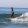 Surf & Yoga Urlaub in Surf Star Marokko